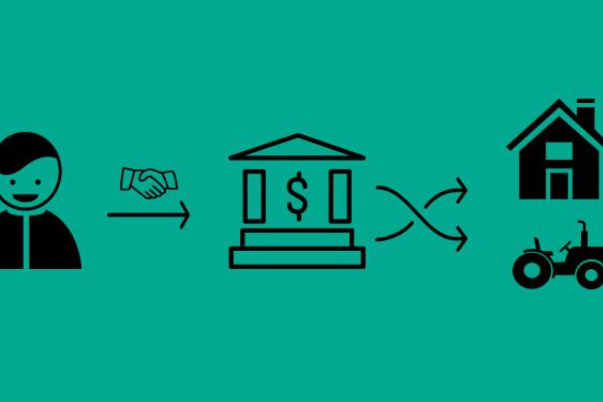 Investimento em LCA: Nutrientes Essenciais para seu Portfólio